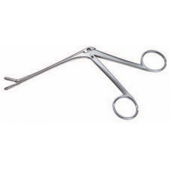 Allis Tebbetts Style Sheen Fragment