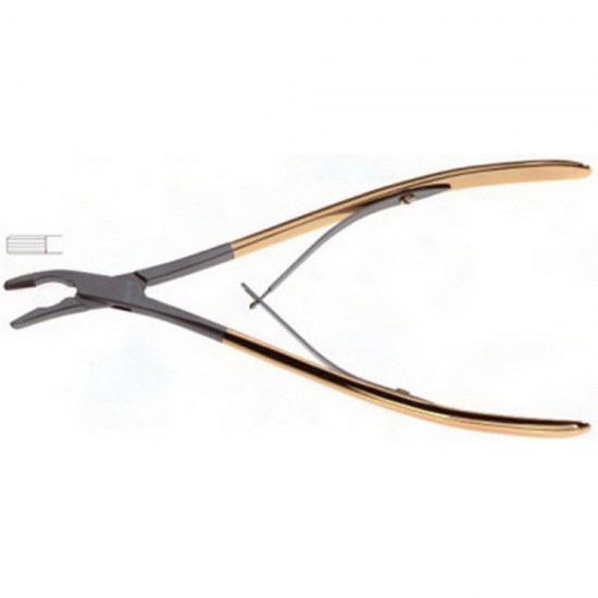 Gunter Lower Lateral